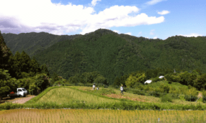 Blog_風土を料理する、という哲学
