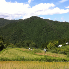Blog_風土を料理する、という哲学