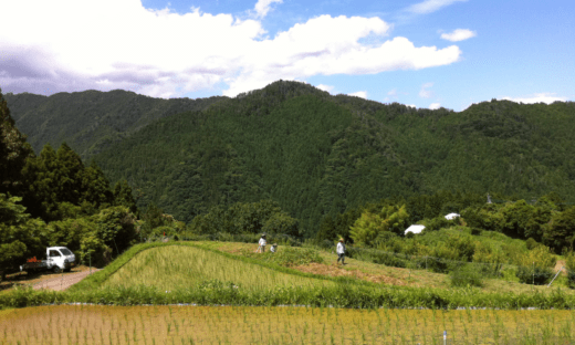 Blog_風土を料理する、という哲学