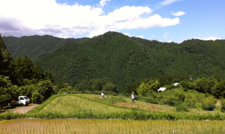 Blog_風土を料理する、という哲学