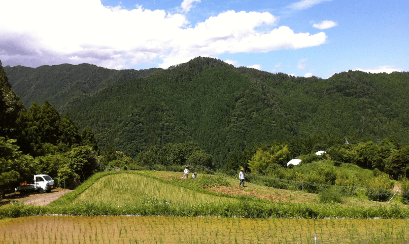 Blog_風土を料理する、という哲学